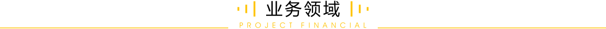 業(yè)務(wù)領(lǐng)域